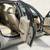 2008 BMW 328XI  AWD Used Cars Vermont at Ron’s Auto Vt 12 thumbnail