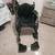 Wheel Chair 1 thumbnail