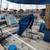 41 Formosa Ketch 6 thumbnail