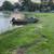 15hp 4 stroke Mercury 1 thumbnail