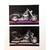 Harley Davidson 13 Frameable Prints Motorcycles 10 thumbnail