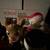 Rudolph The Red Nose Reindeer Plushies 4 thumbnail