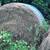 Hay 5 round bales 1 thumbnail