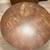 47-1/2" ROUND DINING TABLE 2 thumbnail