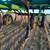 John Deere Chisel Plow 3 thumbnail