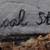 Large Universal Statuary Display NFS Duck Decoys 10 thumbnail