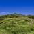 37 Acre Build-Ready Ranch -Well, Power & Septic - Owner Says Sell! 16 thumbnail