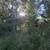 Off-Market Fixer-Upper Opportunity - Great Potential 21 thumbnail