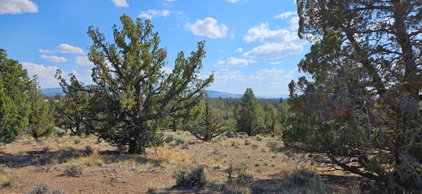 $50,000 10 acres de terreno recreativo (Prineville)63839289796737120