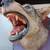 Vintage coyote taxidermy head mount 8 thumbnail
