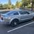 06 Mustang 2 thumbnail