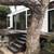 Carpenter/Framer/Decks/Fencing 15 thumbnail