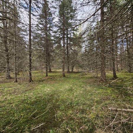 $74,900 36 acres of woods for your recreation needs (Sutton)63992934434307122