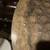 Zildjian 21” Custom Special Dry Ride (with rivet) 6 thumbnail