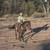 Handsome Dun Gelding 4 thumbnail