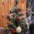 4 Ft Pre-Lit Decorated Frosted Christmas Tree 6 thumbnail
