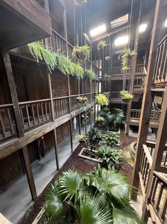 $1,100 / 1br - 750ft2 - ¡¡¡¡APARTAMENTOS GREENHOUSE!!!! (METAIRIE, LA.)63791993256963122