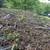 Gutter and Roof Repair and Cleaning 3 thumbnail