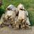 Firewood - Dry Mixed Hardwood (Oak, Ash, Maple) 3 thumbnail