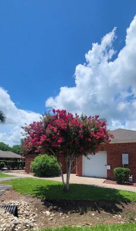 $1,099 / 3br - 1240ft2 - Gorgeous 3 BR/2 BA Near Nature-Pool & Laundry, First Month Free! (Sweeny)63924169426563121