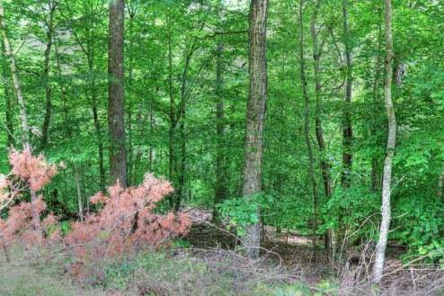 $25,000 2.81 Acre Wooded Lot with Norris Lake Access and Mountain Views (Sharps Chapel)63815695448961123