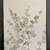 NWT 2-Pc. Wall Art Set, Greenery Home Decor, Framed Nature Picture NEW 3 thumbnail