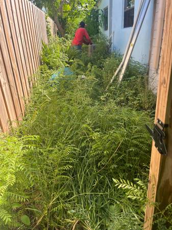 WEED CONTROL! PROPERTY Cleanup!, TREE Service! Call now!😎 1