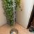 Silver Floor Lamp 83inch 3 thumbnail