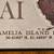 Amelia Island Latitude + Longitude Mahoghany Box 2 thumbnail