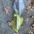1996 to 2002 Toyota 4Runner Parts. Gen 3. Please read then contact me 11 thumbnail