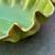Vintage Green Ruffle Edge Planter or dish 4 thumbnail