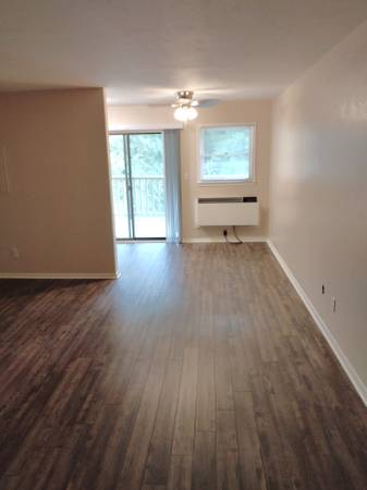 $1,100 / 474ft2 - Studio Condo in Lake Lure with Full Resort Access (Lake Lure)64029203812610123