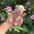 Hypoallergenic French Bulldog Puppies 5 thumbnail