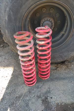 Large Bronco Coil Springs 1