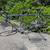 Trek T200 Tandem – Ultegra Triple – DT Swiss Hügi Hubs – Touring Ready 7 thumbnail