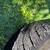 F-250 tires and wheels 3 thumbnail