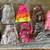 Girls clothes/ clothing size 6 1 thumbnail
