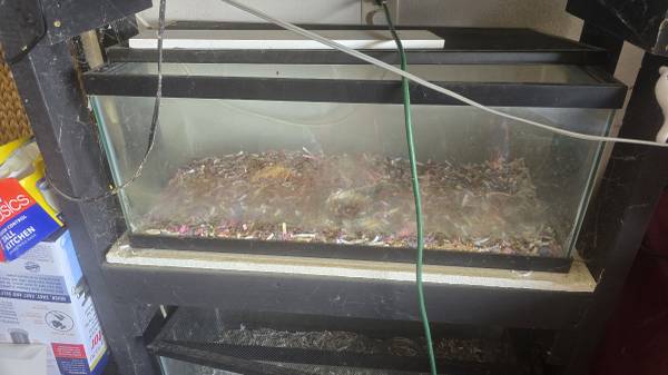 soporte para tanques de acuario de 3 niveles y 20 galones con electricidad (Pensacola)63836589852417123