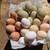 Fresh free range eggs 1 thumbnail