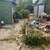 🏡Get the BEST for Less: Landscaping & Tree Services with 15% OFF🏡 6 thumbnail