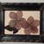 Pressed Flower Art  -from 9 thumbnail