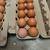 Farm Fresh Eggs 1 thumbnail