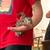 Pair of Flying Squirrels and Cage 5 thumbnail