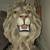 Lion's head 1 thumbnail
