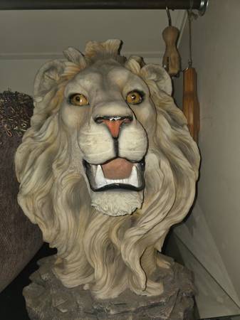 Large scale lions head 1