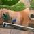 Gutter Cleaning • Gutter Repair • Seamless Gutters | PRO GUTTER CARE 22 thumbnail
