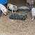 Mini pigs 3 thumbnail