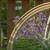 Sweet, Suite Garden Retreat 4 thumbnail