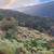 Peace, Privacy & Endless Views – Right Here in Cedar Highlands! 6 thumbnail