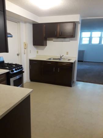 $875 / 1br - Apartamento de una habitación, alquiler mensual de $875 (vecindario Elliot Park, Minneapolis)63797857411075121
